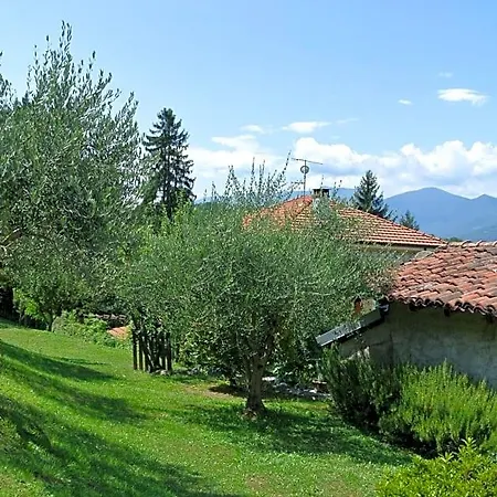 Al Rost Luino
